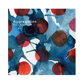 Sachie Fujikawa Trio (藤川幸恵トリオ) D-neo 第15弾 『Aggregation』