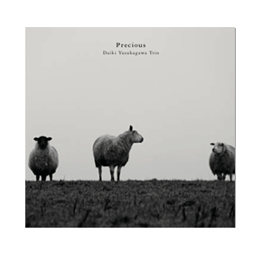ダイキムジカ D-neo 第21弾 『Precious』 Daiki Yasukagawa Trio 安ヵ川大樹 (b) 田窪寛之(p)橋本学(ds)