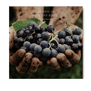 ダイキムジカ D-neo 第23弾 『The Days Of Wine And Roses』 The Trio Bacchus